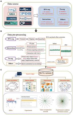 Mr.Vc v2: An updated version of database with increased data of transcriptome and experimental validated interactions